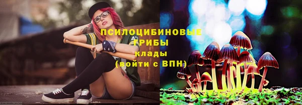 МДМА Арсеньев