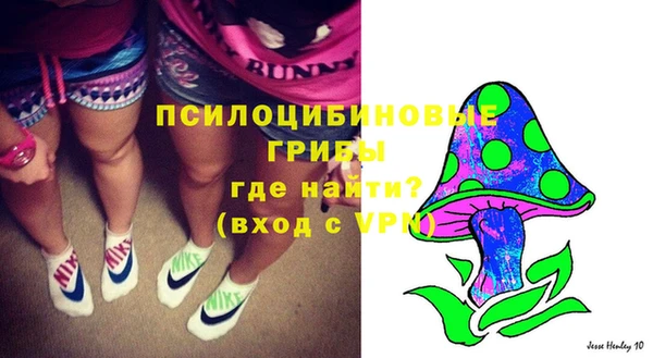 тгк Аркадак