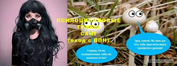 а пвп мука Армянск